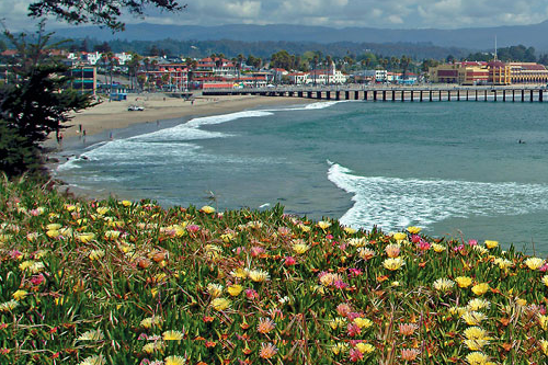 santa cruz